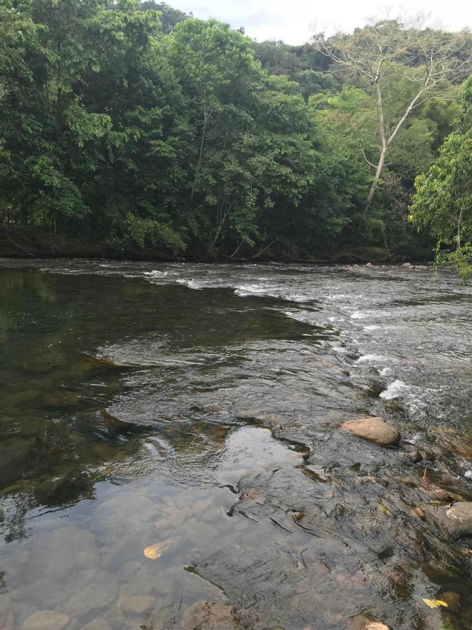 Lodge Dravida Petar